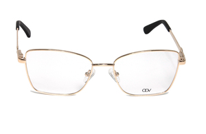 ODV   ODV12095 C1