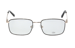 ODV   ODV11100 C1