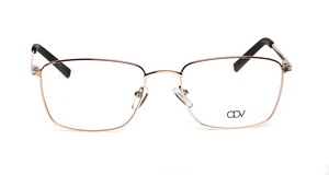 ODV  ODV11017 4